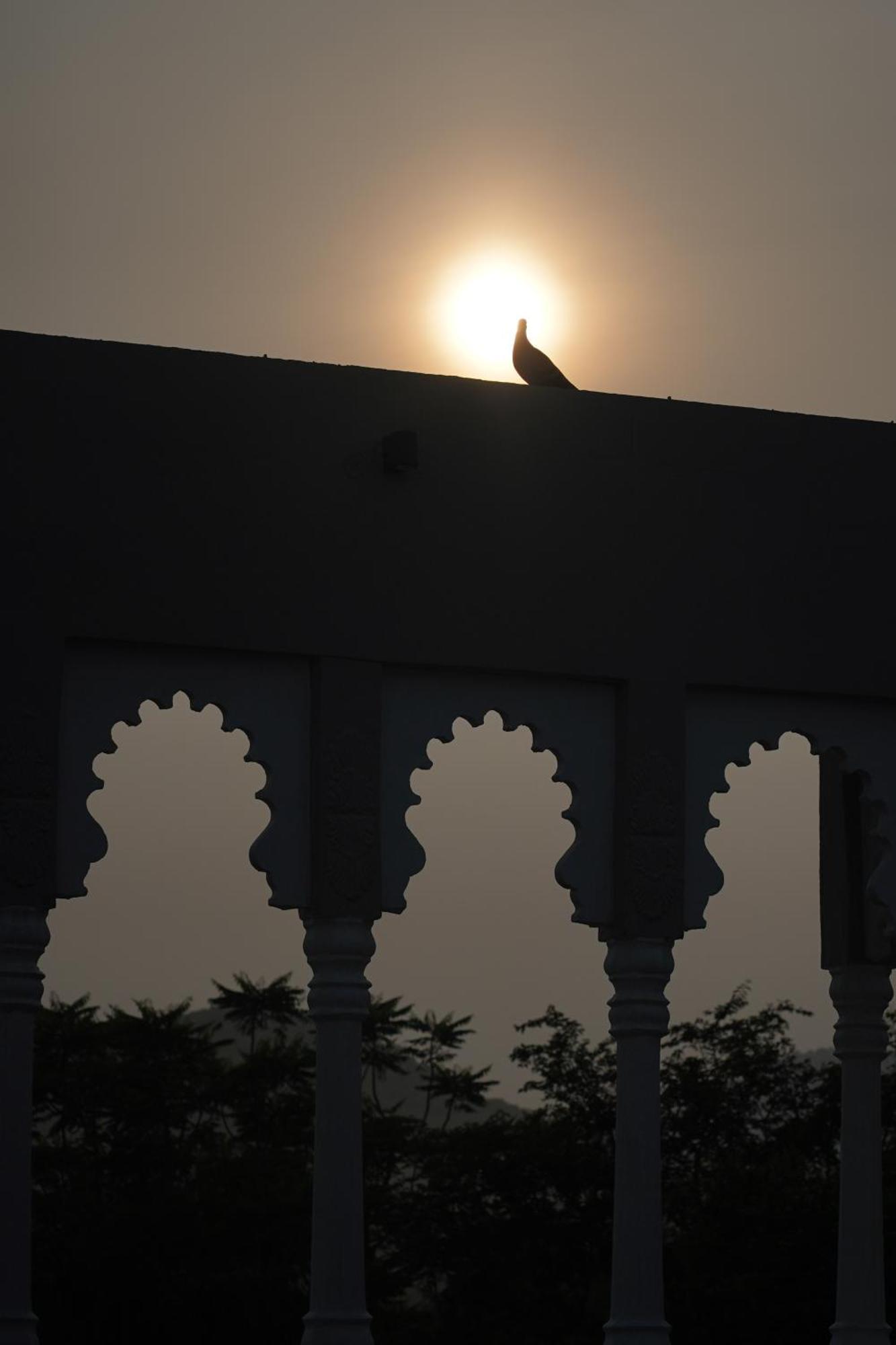 The Tiger Villa Ranthambore Atd India Group Sawai Madhopur Buitenkant foto